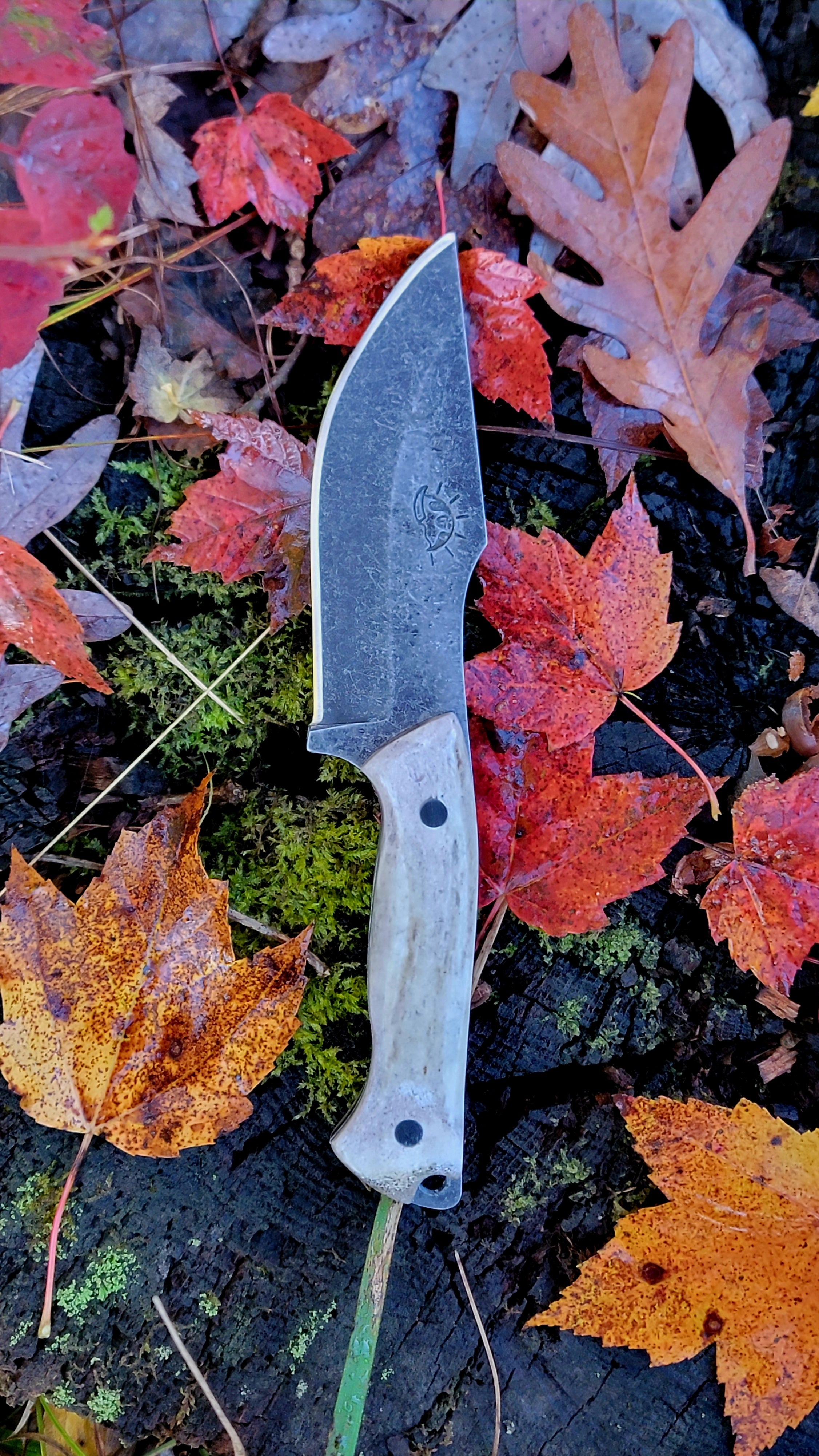 Hunter with modified drop point – Water's Edge Blade Co
